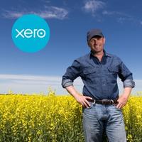 Let’s Xero-In on your Farm Business