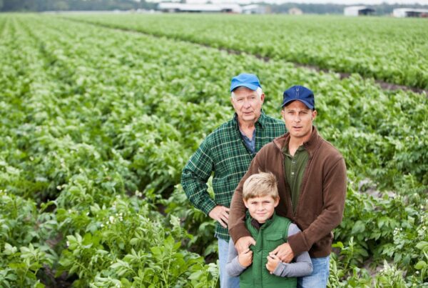 transition not transaction - succession planning