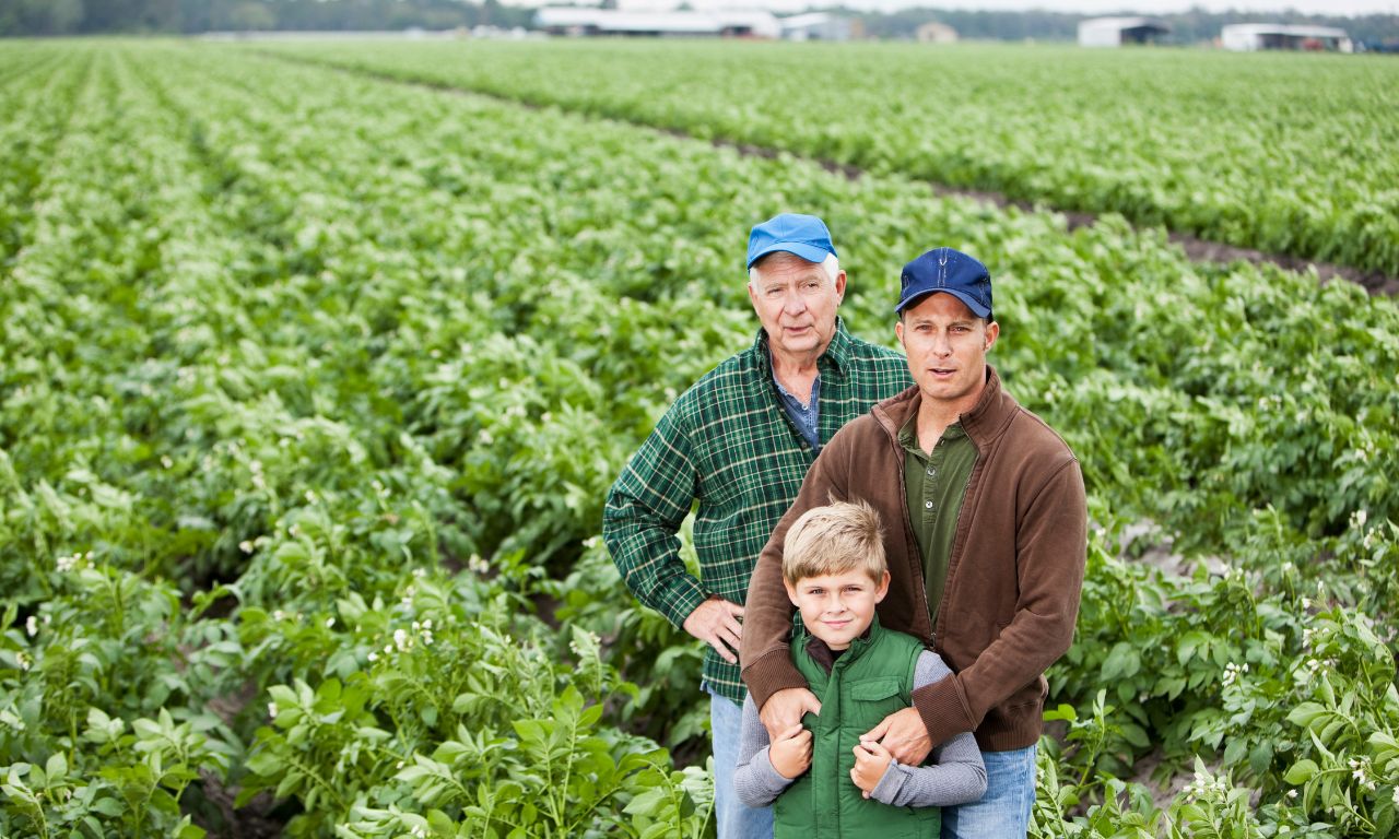 transition not transaction - succession planning