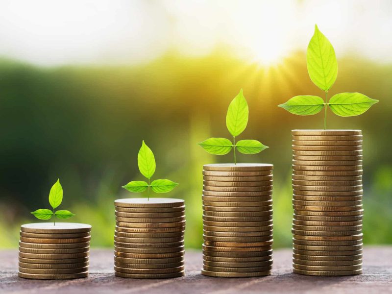 Self-managed Super Fund Services